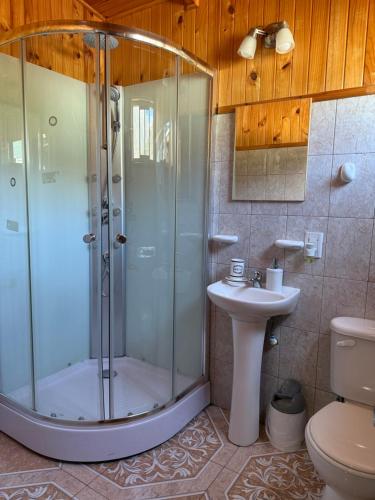 柴滕Paraiso Patagonico的带淋浴、马桶和水槽的浴室
