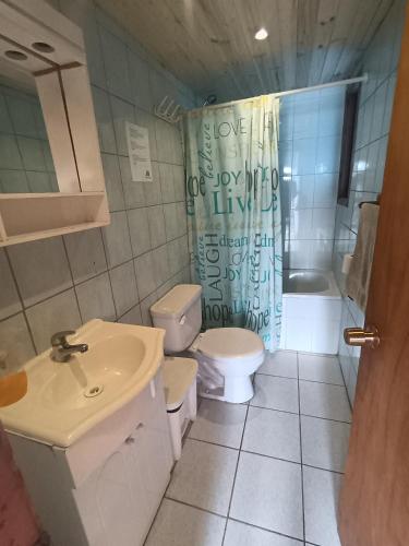 a bathroom with a toilet and a sink and a shower at Pichilemuhostel SurfersView in Pichilemu