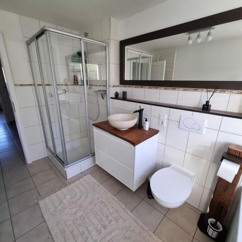 a bathroom with a sink and a toilet and a mirror at Haus am Tor zur Eifel in Mechernich
