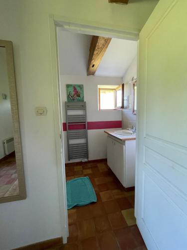 ein kleines Bad mit einem Waschbecken und einer Theke in der Unterkunft Charmant gîte à la campagne ! Avec 2 SDB in Boismé