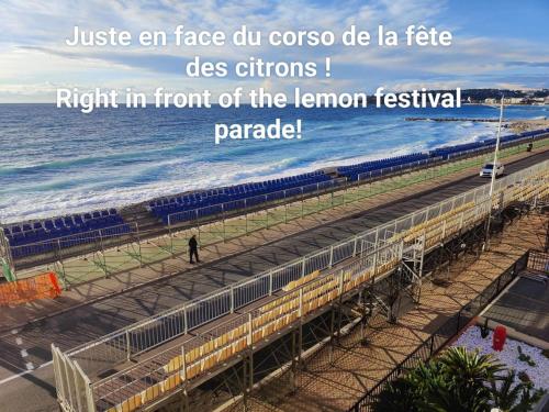 Le COQ Bleu d'Azur- Piscine - Parking - AC -WIFI