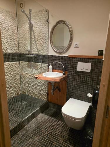 a bathroom with a shower and a toilet and a sink at Apartamentai 78 in Mažeikiai