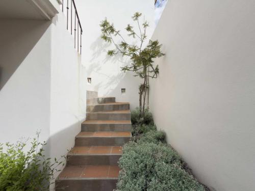 Casapueblo Rent Cachagua CP 35 في Cachagua: مجموعة من السلالم مع النباتات على جانب المبنى