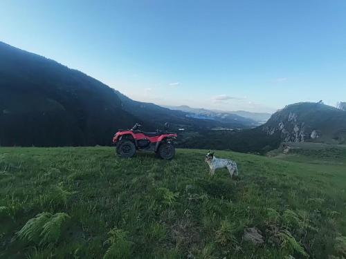 Příroda nedaleko chaty