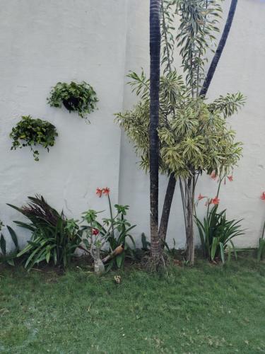 En have udenfor APARTAMENTO EM ICARAÍ COM PISCINA 500mt DA PRAIA