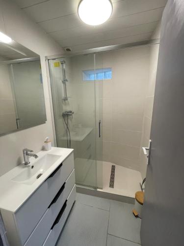 Un baño blanco con ducha y lavabo. en La petite maison des bleuets, en Romorantin-Lanthenay