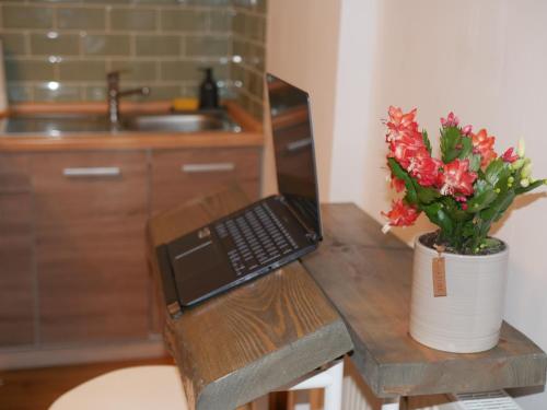 Ferienwohnung Apartment Fewo Alojamiento Casa Demy في بابينهاوزن: كمبيوتر محمول على طاولة مع نبات في أصيص