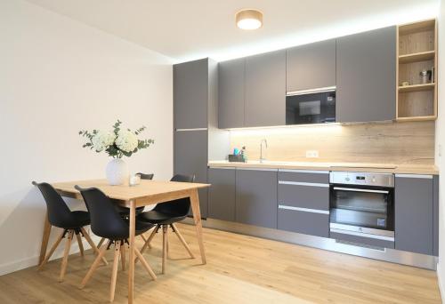 Η κουζίνα ή μικρή κουζίνα στο Javorná - Aura a Nord