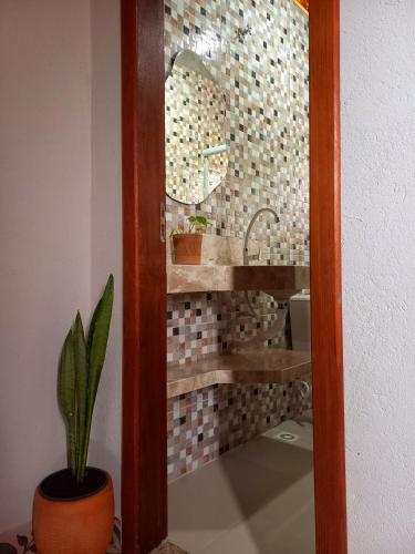 a bathroom with a sink and a potted plant at Loft de Cristal Igatu in Andaraí