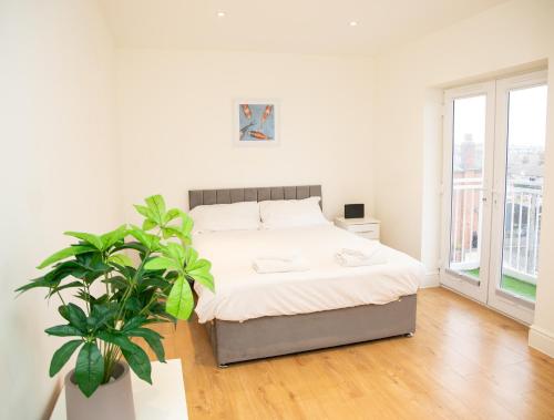 a bedroom with a bed and a potted plant at Seaview Apartments - 28-29 Marine Parade, Harwich - Perfect for business & long term stays in Dovercourt