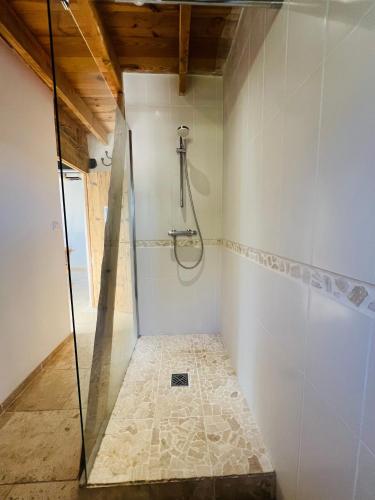 a bathroom with a shower with a glass door at La Petite Maison Dans Les Vignes in Chamaret