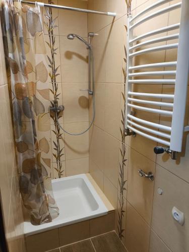 a bathroom with a shower with a shower curtain at Noclegi w mieście in Kozienice