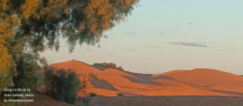 Příroda nedaleko bed and breakfast