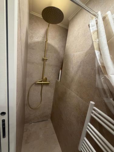 een douche met een douchekop in een badkamer bij Cosy Hoche Saint Gervais in Pré Saint Gervais