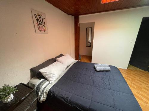 a bedroom with a large bed in a room at Habitación doble en el centro con baño privado in Curicó