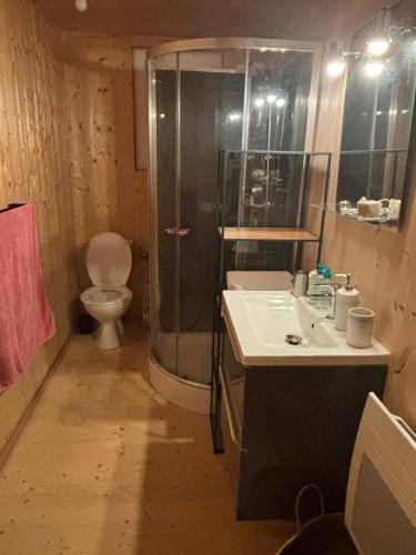 a bathroom with a shower and a sink and a toilet at Lodge des Mélèzes in Ancelle