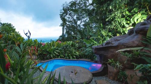 a small swimming pool in a garden with plants at Cabañas Caeli, El Colibri, NEW La Fortuna Rainforest Cabin w Panoramic Views in San Francisco