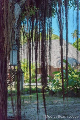 a painting of a park with trees and a street light at Moorea Beach Lodge in Moorea