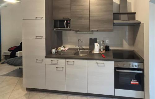 Η κουζίνα ή μικρή κουζίνα στο Gorgeous Apartment In Opuzen With Wifi