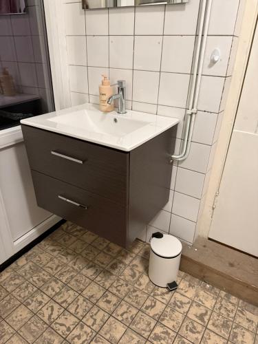 a bathroom with a sink and a shower at 't Zusje in Enschede