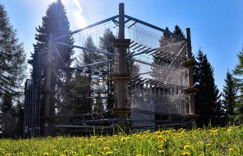 een achtbaan in een bloemenveld bij Apartmaji nad potokom in Železniki