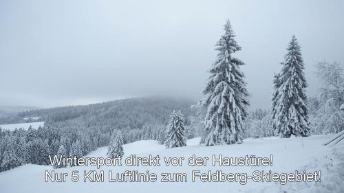 Ferienhaus Albmatte-Sauna im Haus-gemütliche Apartments v zimě