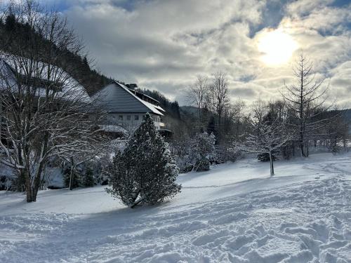 a snow covered yard with a house and a christmas tree at Ferienhaus Albmatte-Sauna im Haus-gemütliche Apartments in St. Blasien