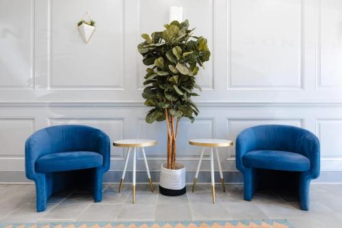 two blue chairs and a table with a potted plant at The King Street House By Kasa in Alexandria