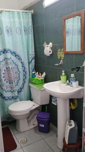 a bathroom with a toilet and a sink and a shower curtain at Hermoso loft a pasos del plan de Valparaíso in Valparaíso
