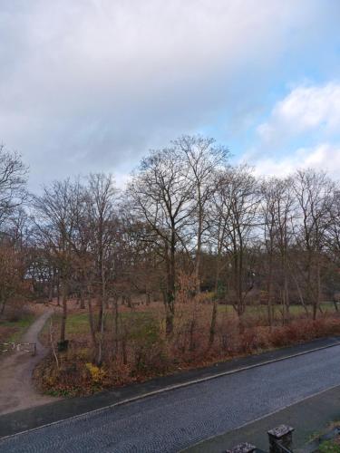 Natuurlandschap vlak bij het appartement