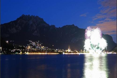 a firework display in the water at night at B&B Como Lake Cottage in Lecco