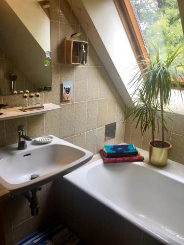 a bathroom with a sink and a bath tub and a window at Villa Pdorf in Perchtoldsdorf