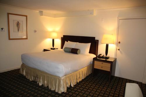 A room at Bedford Plaza Hotel - The Oasis of Boston!