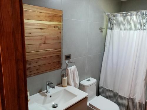 Un baño de Cabañas y Hostal Casa de Campo Rukaleufu a orillas del Rio Huiscapi