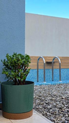 una pianta in un vaso verde accanto a una piscina di Villa Morion a Donji Morinj