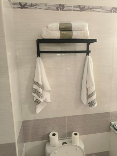 a bathroom with a toilet and towels on a wall at Luxury Monte 65 in Tomelloso