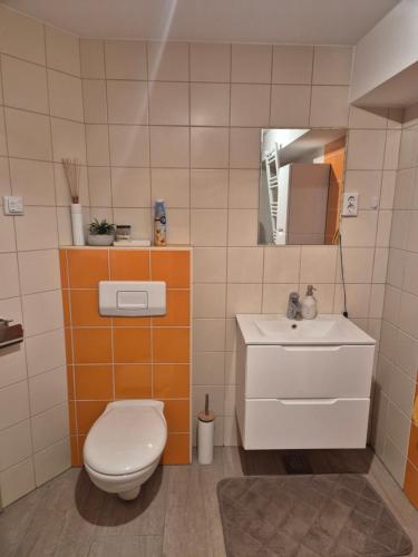 een badkamer met toilet en wastafel bij Apartment Doroteja in Podplat