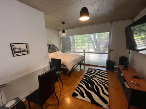een slaapkamer met een bed en een televisie en een kamer bij Vilella Live in Buenos Aires
