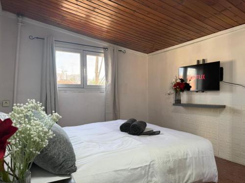 Rooftop flat in Jerusalem