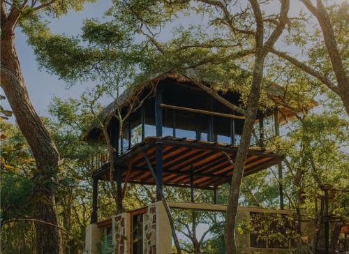 Fotografie z fotogalerie ubytování Unique Experiences Chalets Glamping Treehouses Camping Zimbabwe v destinaci Norton
