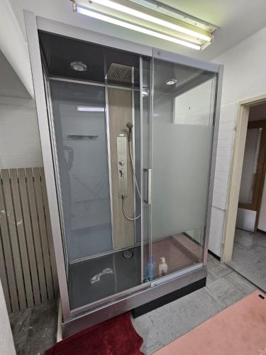 a glass shower in a room with a red rug at Galaxy Apartment - 3 Rooms - Chur Old Town in Chur
