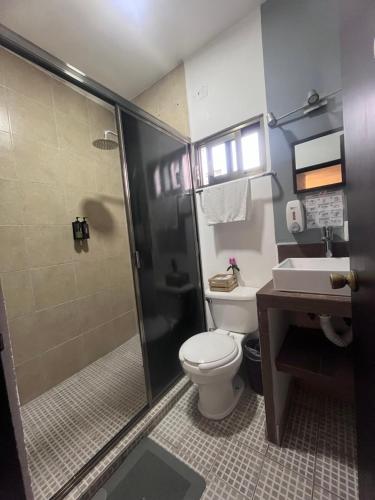 a bathroom with a shower and a toilet and a sink at Hotel Gandag in Orizaba