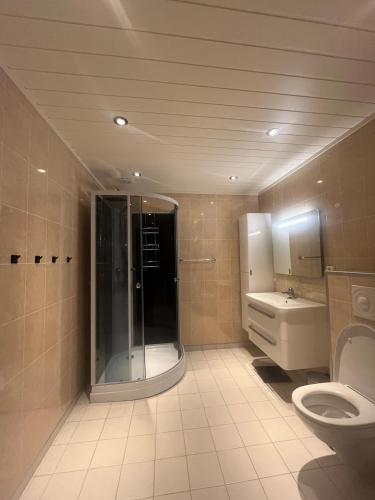 une salle de bains avec douche, toilettes et lavabo dans l'établissement Large apartment with good view!, à Tromsø
