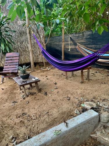 a hammock and a chair in a yard at Casa Teepee in Zipolite