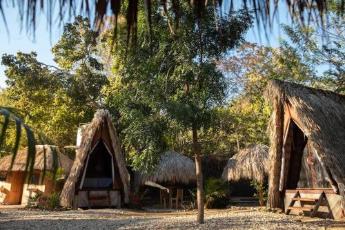 Casa Teepee في زيبوليت: مجموعة منازل بأسطح من القش وأشجار