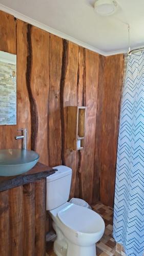 a bathroom with a toilet and a sink at Paraíso Rustico 3 in Curacautín