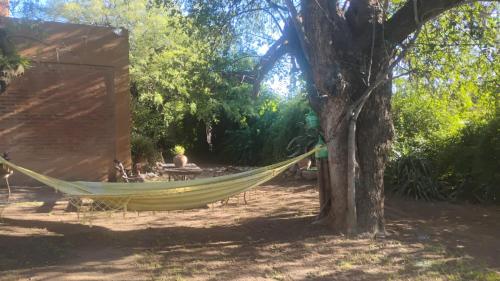 eine Hängematte, die an einen Baum neben einem Zelt gebunden ist in der Unterkunft CASA SAMARANA Alta Gracia in Alta Gracia