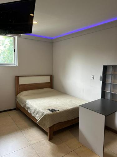 a bedroom with a bed and a tv in it at hostal confort Iztapalapa hospedaje económico y cómodo en cdmx in Mexico City