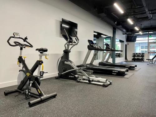 Fitness centrum a/nebo fitness zařízení v ubytování Kasa Bellevue Seattle