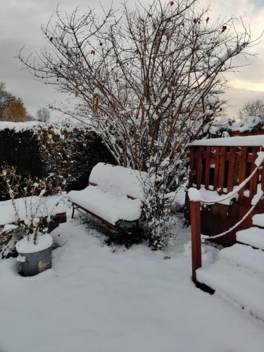 a bench covered in snow next to a tree at La Cabane du Trappeur in La Bourgonce